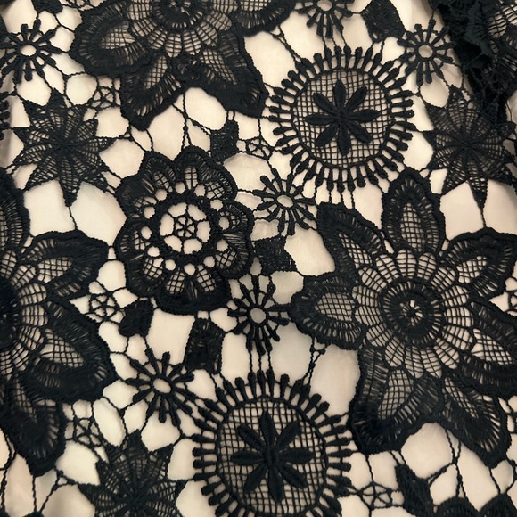 Lace Skirt - Picture 4 of 8